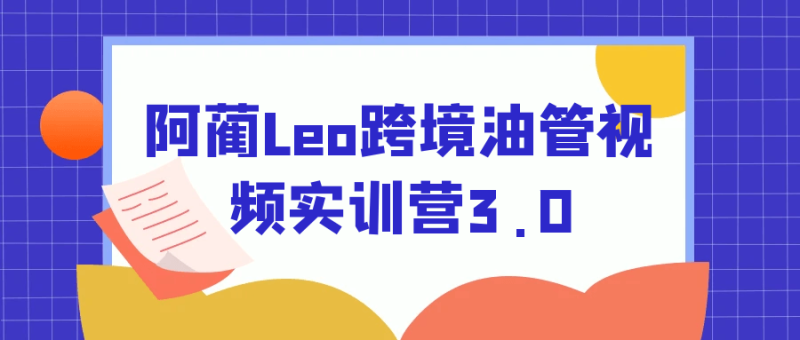阿蔺Leo跨境油管视频实训营3.0-创码者资源网