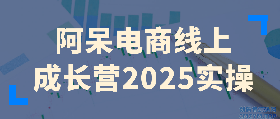 阿呆电商线上成长营2025实操-创码者资源网
