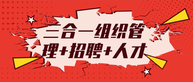 三合一组织管理+招聘+人才-创码者资源网