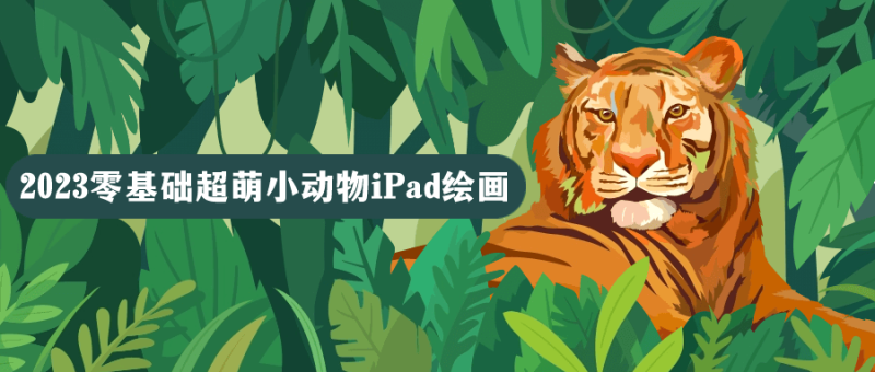 2023零基础超萌小动物iPad绘画-创码者资源网