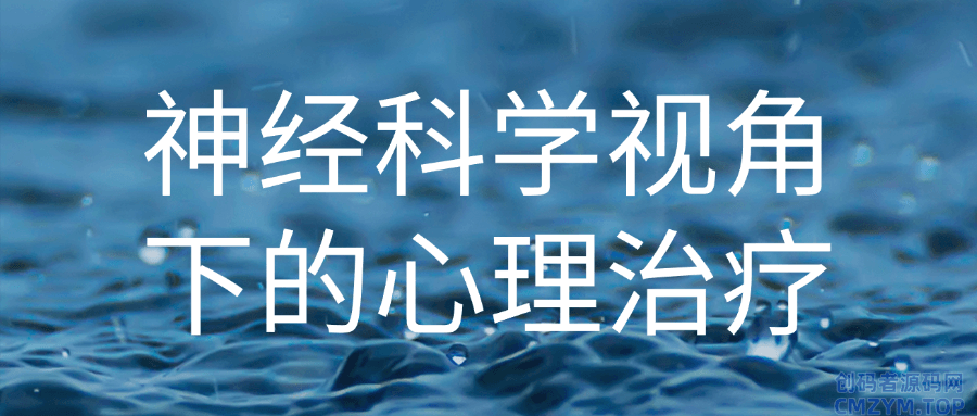 神经科学视角下的心理治疗-创码者资源网