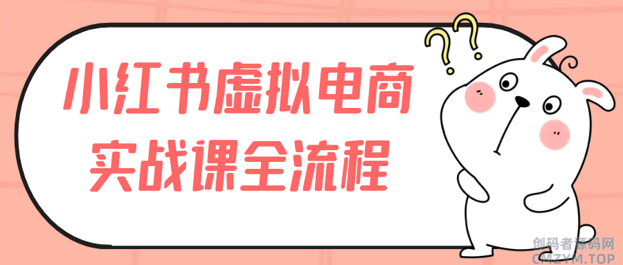 小红书虚拟电商实战课全流程-创码者资源网