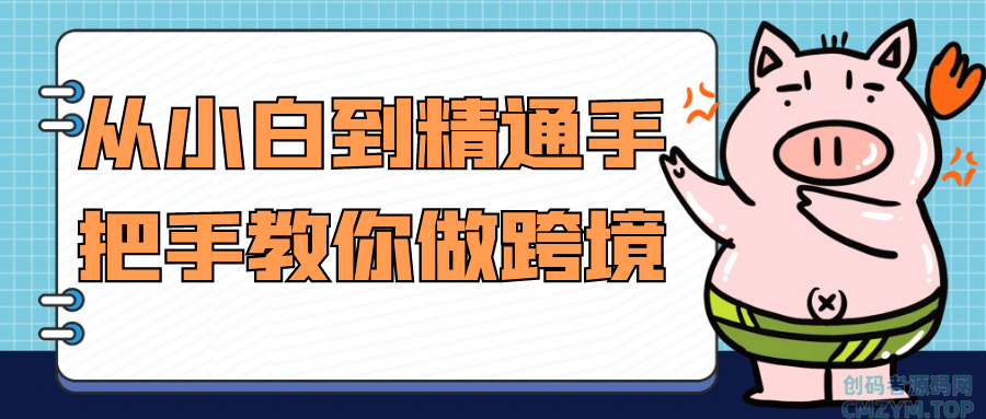 从小白到精通手把手教你做跨境-创码者资源网