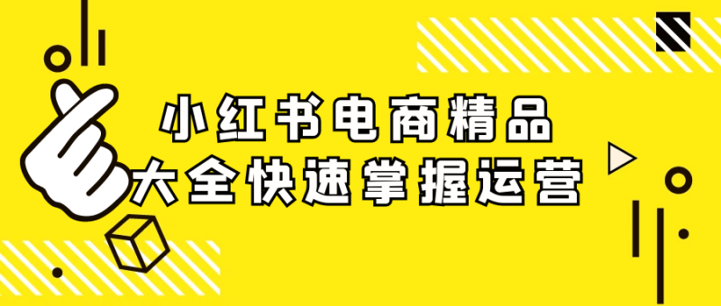 小红书电商精品大全快速掌握运营-创码者资源网