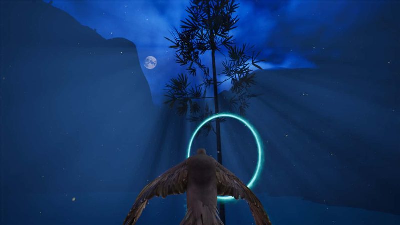 《飞往Flyto》v11439253中文版-创码者资源网