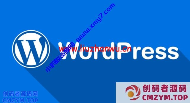WordPress：实现发布文章自动添加TAG标签-创码者资源网