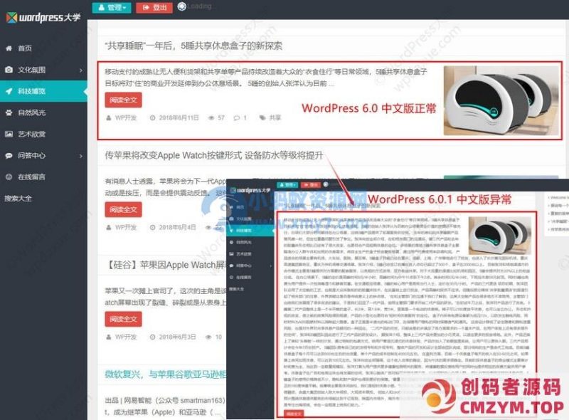 WordPress 6.0.1 简体中文版导致摘要截取失效的解决办法-创码者资源网