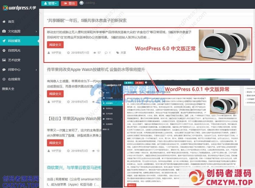 WordPress 6.0.1 简体中文版导致摘要截取失效的解决办法-创码者资源网