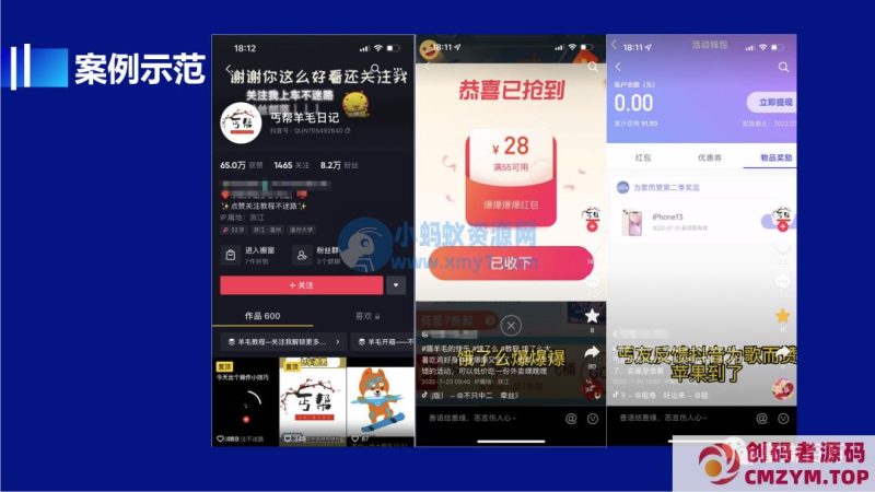 揭秘羊毛党做抖音如何年入10w+-创码者资源网