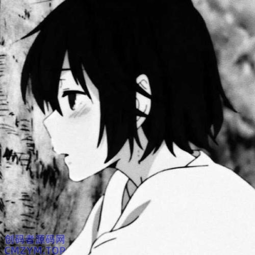 深秋的风-创码者资源网
