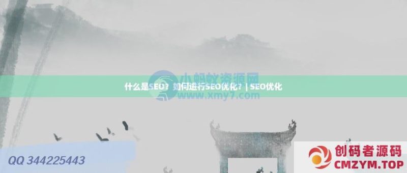 什么是SEO?如何进行SEO优化?-创码者资源网
