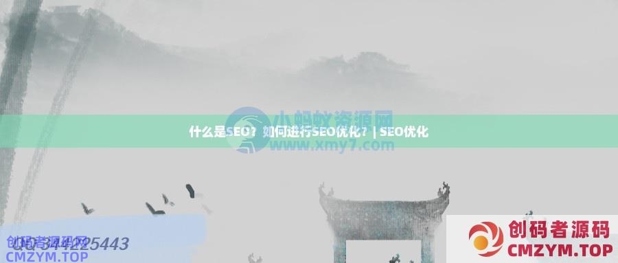 什么是SEO？如何进行SEO优化？-创码者资源网