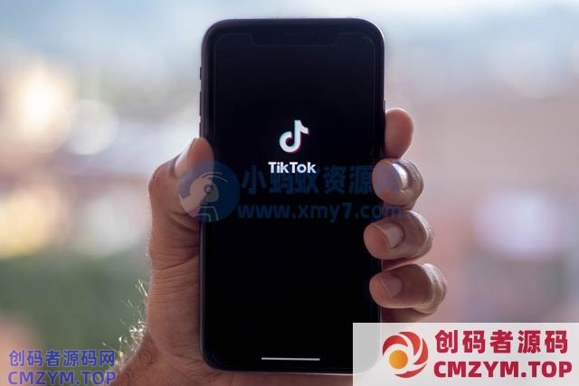 消息称 TikTok 正测试 AI 聊天机器人“Tako”，帮助用户发现更多有趣视频-创码者资源网