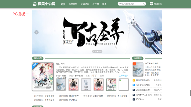 PTCMS自动采集小说网站系统源码 PC+H5-创码者资源网