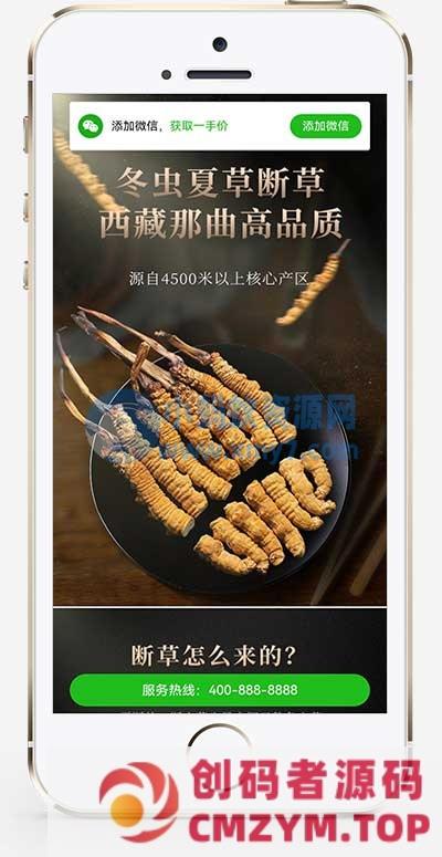 (独立手机版)营销推广落地页pbootcms模板 落地页单页网站源码-创码者资源网