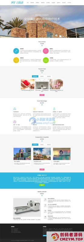 (自适应手机端)海外就医网站源码 医疗试管婴儿网站pbootcms模板-创码者资源网