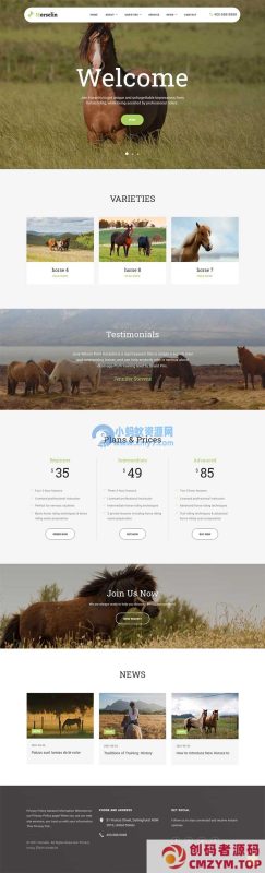 (自适应手机端)马匹饲养养殖场网站源码 养马场畜牧业英文网站pbootcms模板-创码者资源网