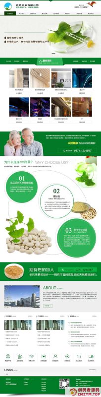 绿色医药行业网站通用模板-创码者资源网