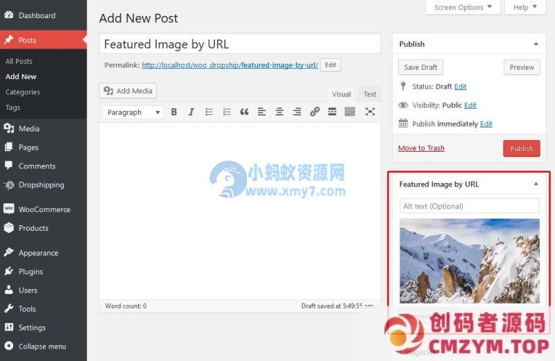 Featured Image by URL插件 用外链图片替代WordPress本地特色图片-创码者资源网