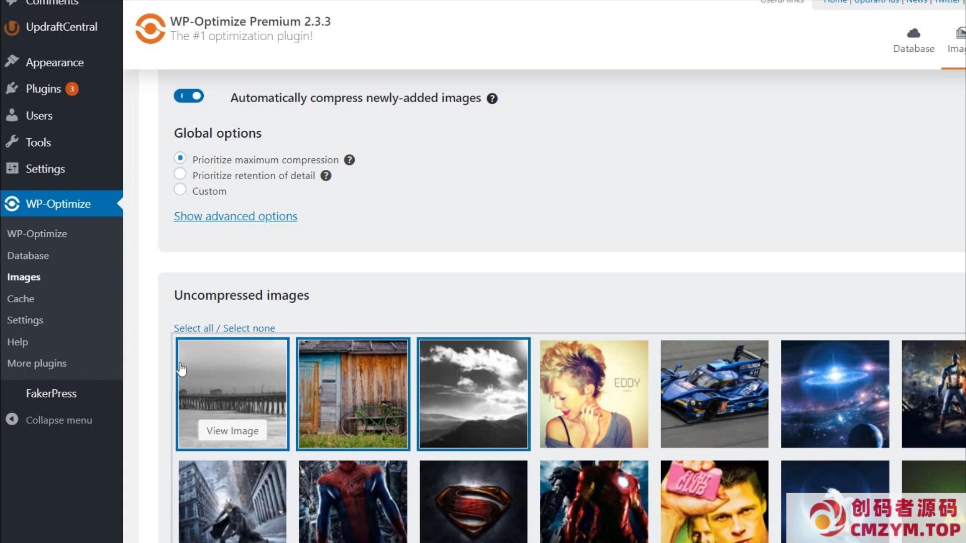 WordPress插件：WP-Optimize Premium v3.3.0 破解版下载-创码者资源网