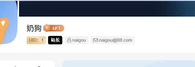 子比主题 用户tag标签自定义插件-创码者资源网