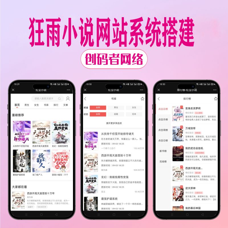 狂雨小说CMS_1.55 简洁大气小说网站系统-创码者资源网