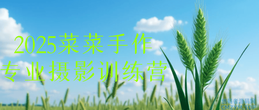 2025菜菜手作专业摄影训练营-创码者资源网