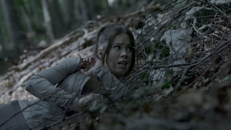 《奔跑/The Run》中文版-创码者资源网