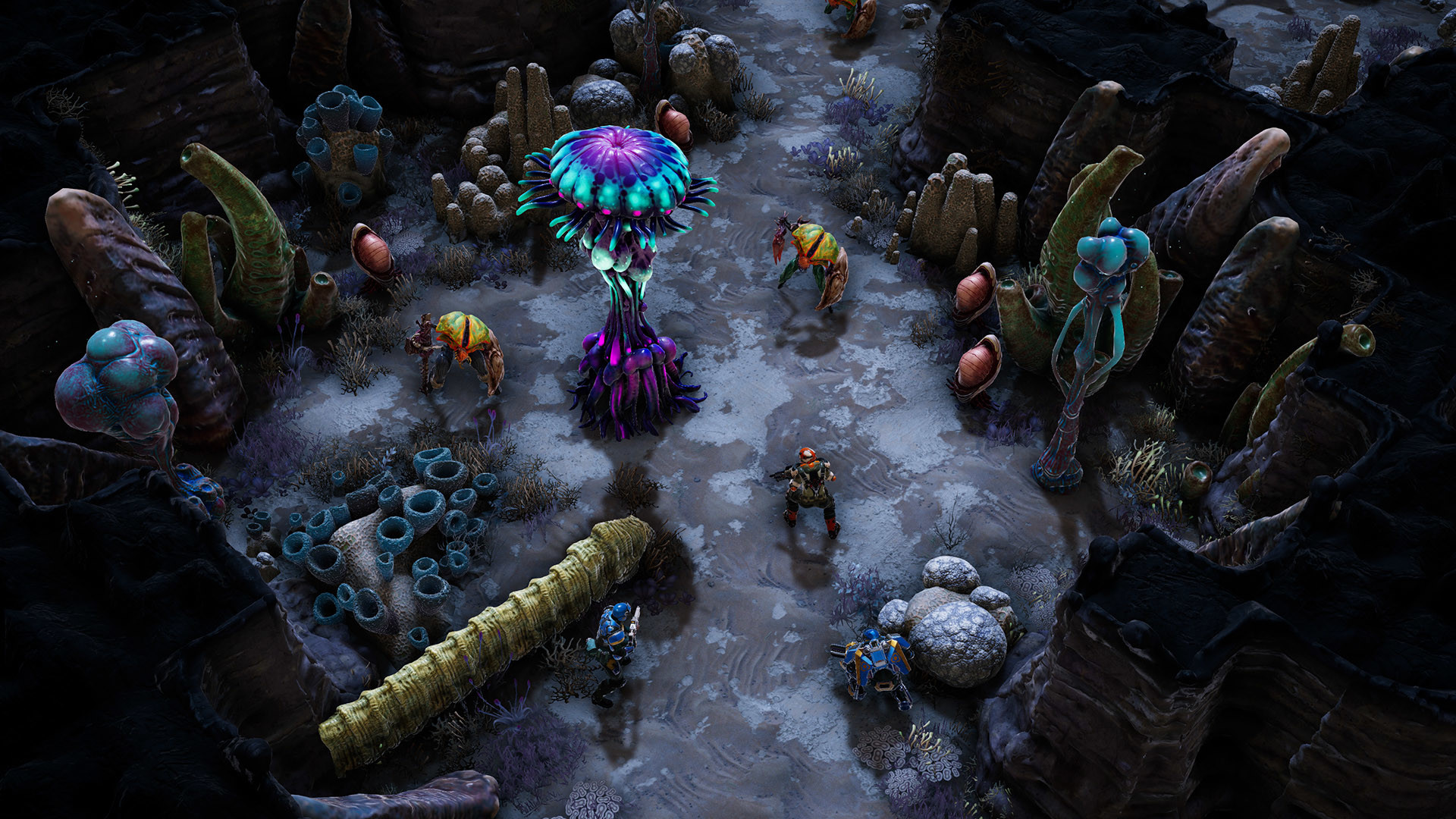 图片[8]-《凤凰点：周年版》中文版-创码者资源网