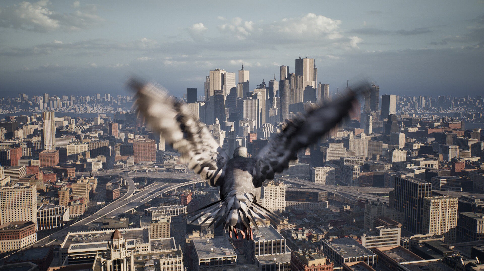 图片[5]-《鸽子飞行模拟器》中文版-创码者资源网