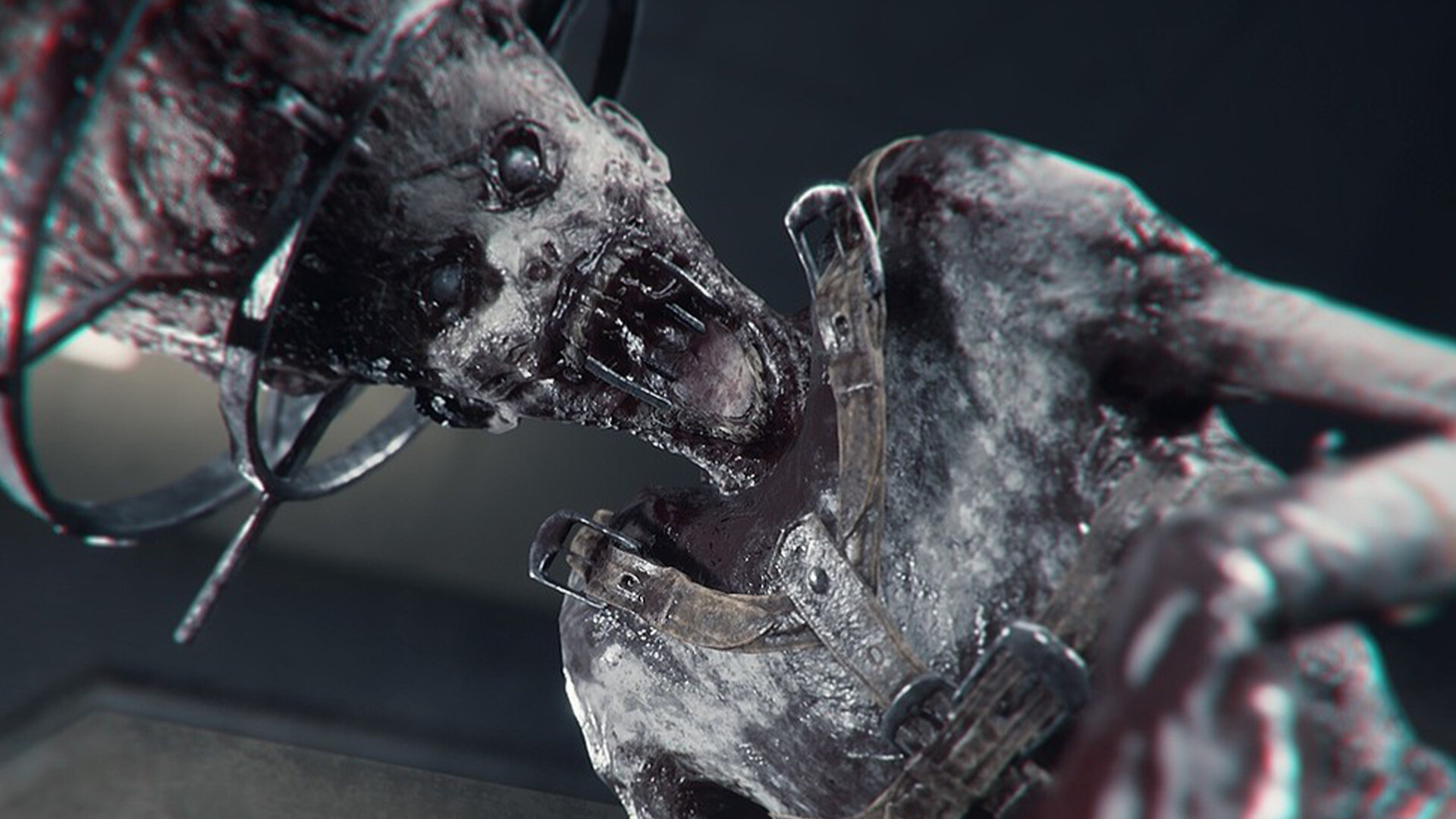 图片[3]-《绿光》中文版-创码者资源网