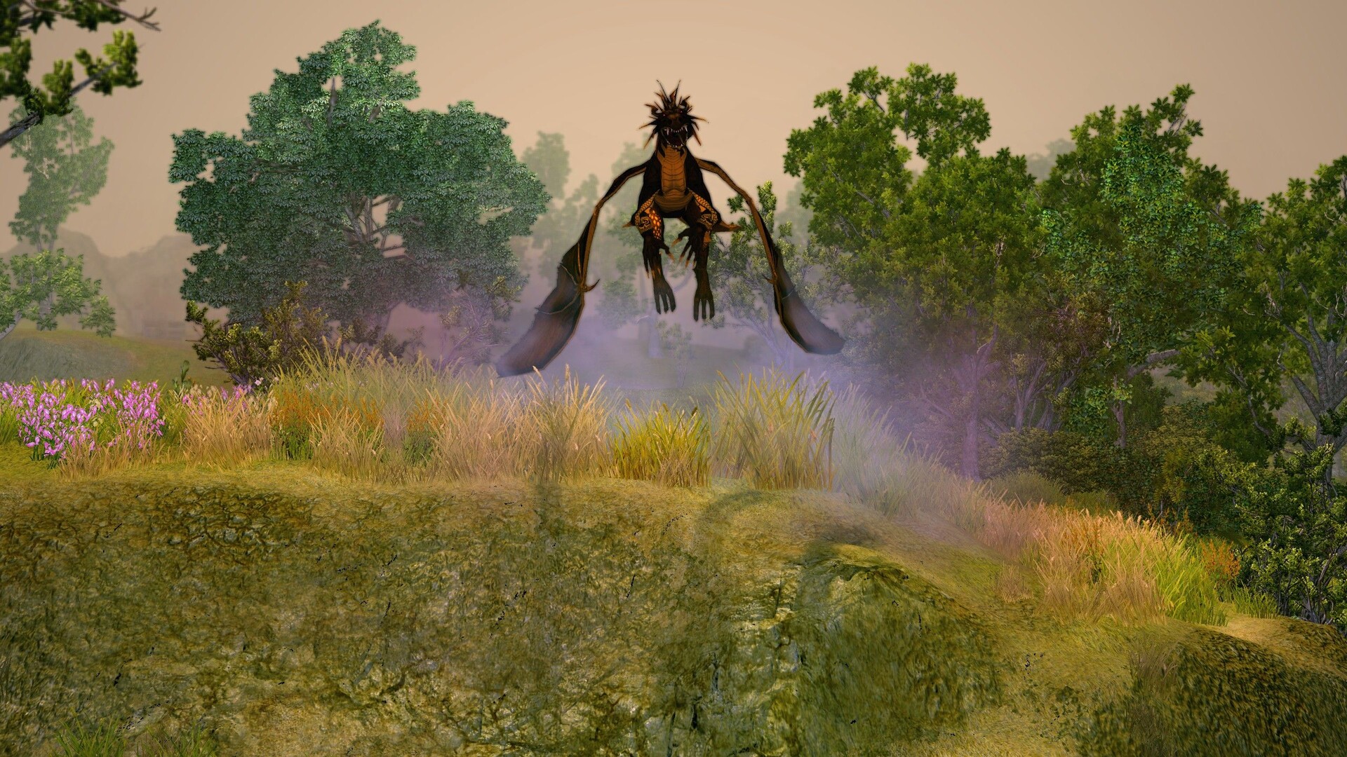 图片[1]-《圣域2：重制版》v1.5原版-创码者资源网