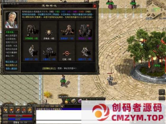 图片[2]-传奇单机版天影3巅峰假人复古三职业宠物鉴定BUFF词条副本翎风引擎-创码者资源网