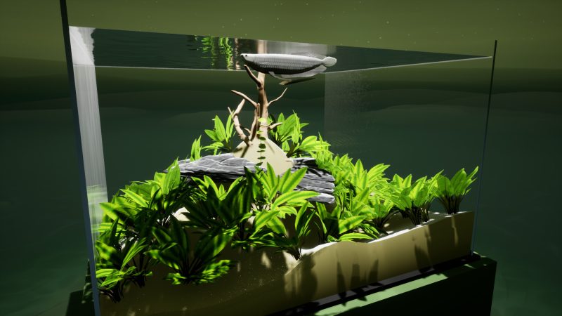 《养鱼模拟器》v00.03.24中文版-创码者资源网