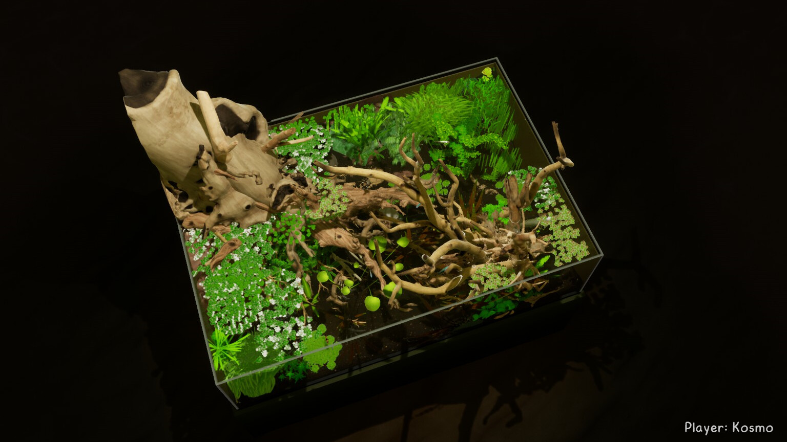 图片[3]-《养鱼模拟器》v00.03.24中文版-创码者资源网