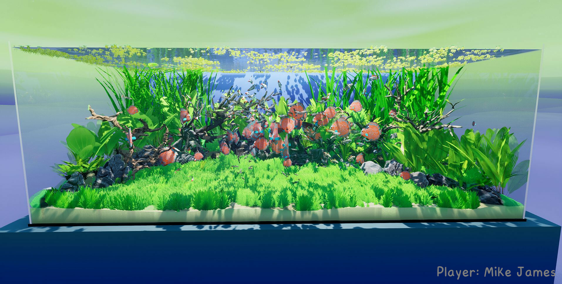 图片[4]-《养鱼模拟器》v00.03.24中文版-创码者资源网