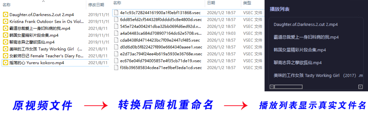 图片[2]-老司机隐私播放器SecureVault Player V0.8.9-创码者资源网