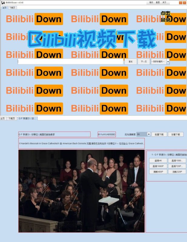 b站视频下载软件BilibiliDown v6.40-创码者资源网
