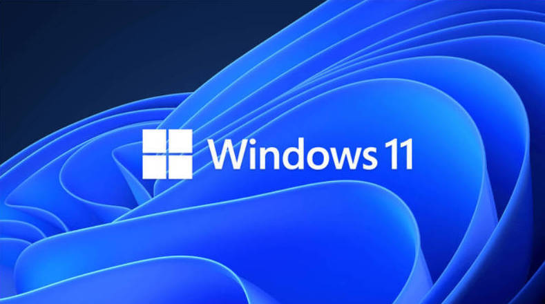 Windows 11 25H2 官方版26年1月-创码者资源网