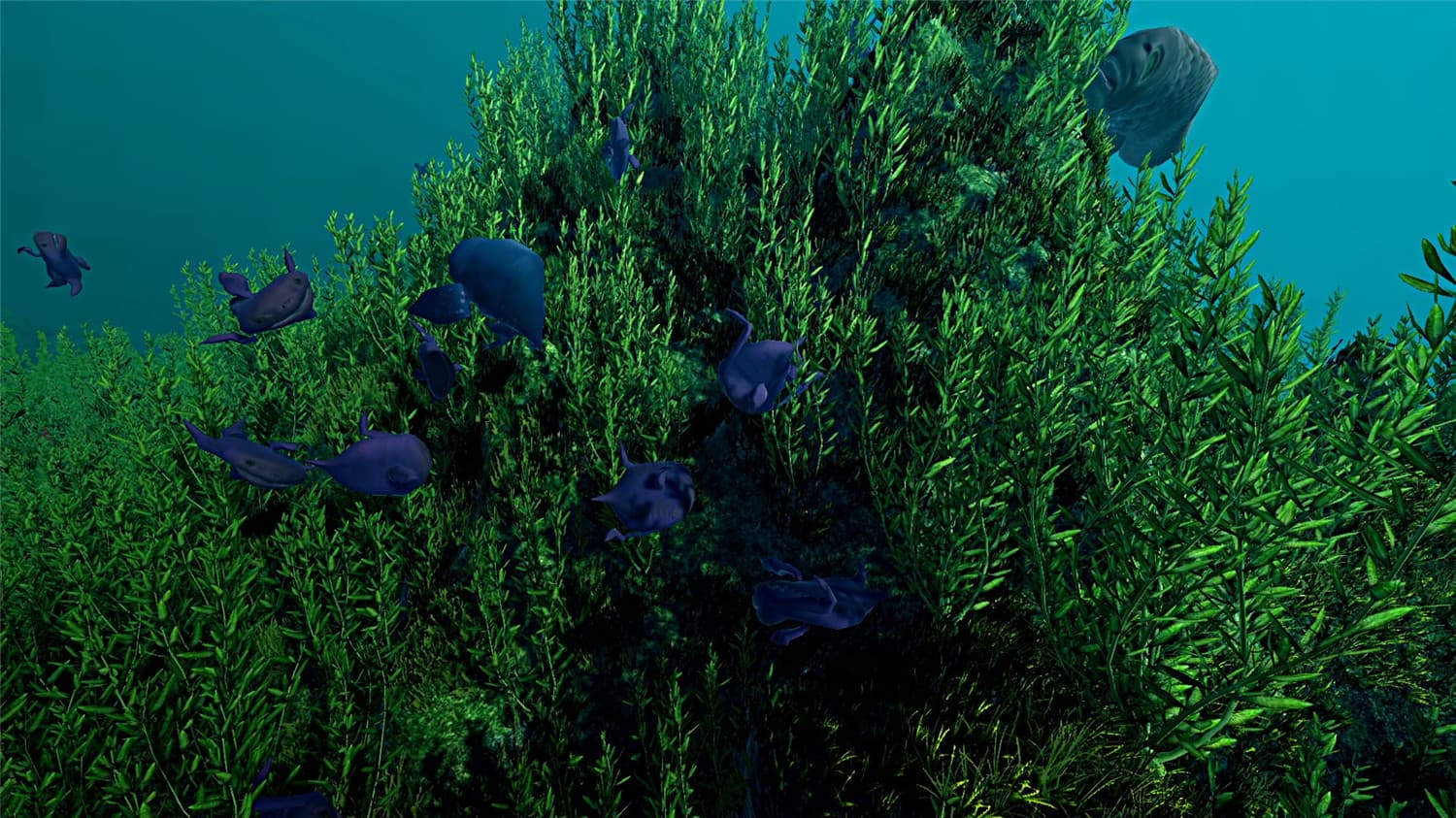 图片[2]-《生态系统》v1.0.0中文版-创码者资源网