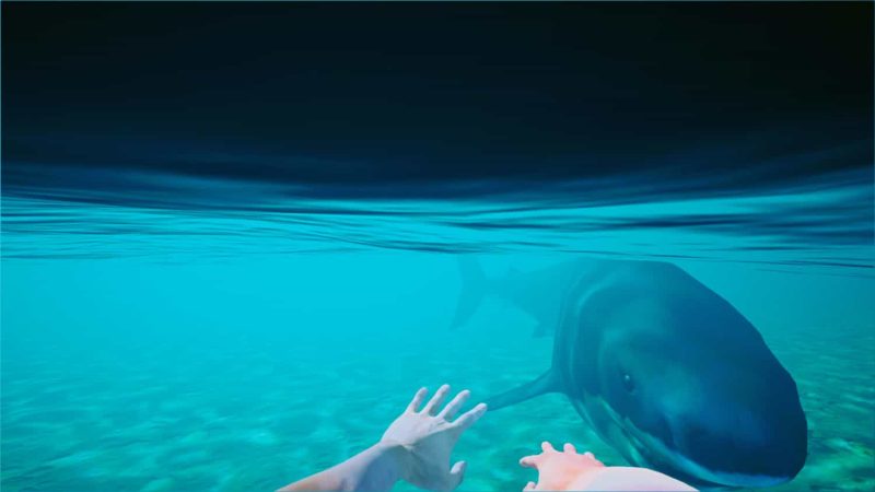 《海滩俱乐部模拟器2024》中文版-创码者资源网