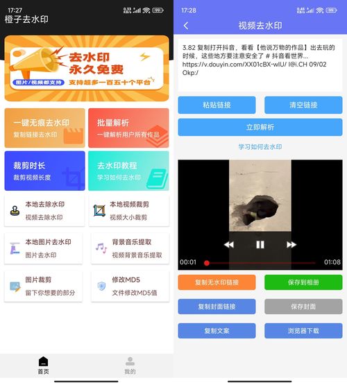 安卓橙子去水印解析多功能 v3.1.15-创码者资源网