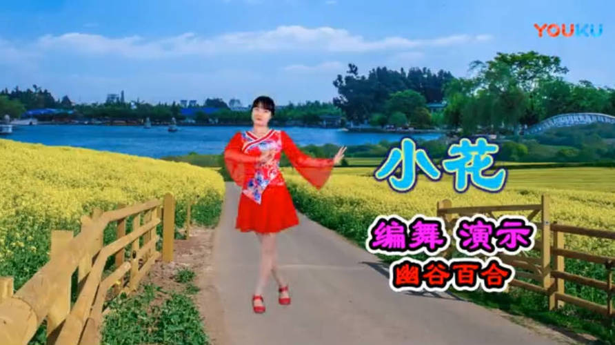 图片[2]-广场舞视频教学500首-创码者资源网