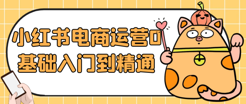 小红书电商运营0基础入门到精通-创码者资源网