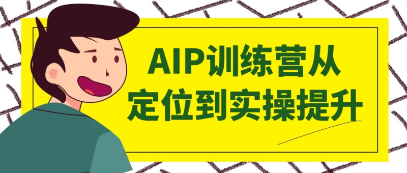 AIP训练营从定位到实操提升-创码者资源网