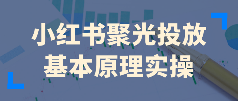 小红书聚光投放基本原理实操-创码者资源网