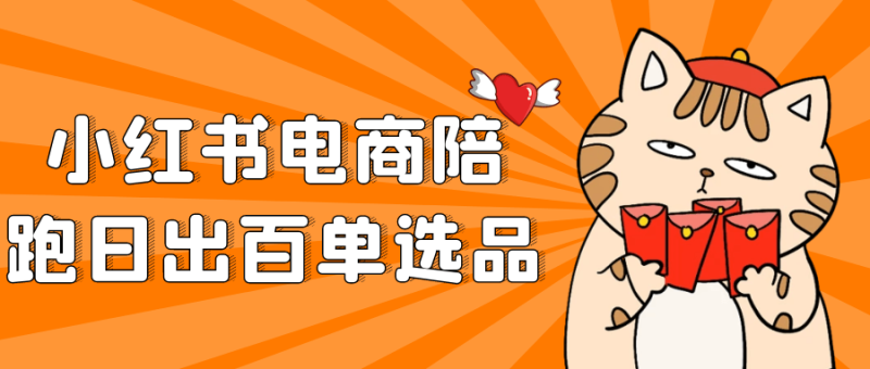 小红书电商陪跑日出百单选品-创码者资源网