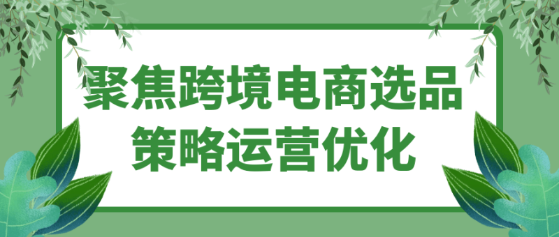 聚焦跨境电商选品策略运营优化-创码者资源网