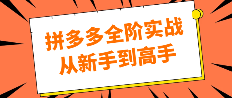 拼多多全阶实战从新手到高手-创码者资源网