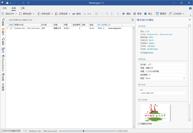 Metatogger音频编辑v7.7.1.0绿色版-创码者资源网